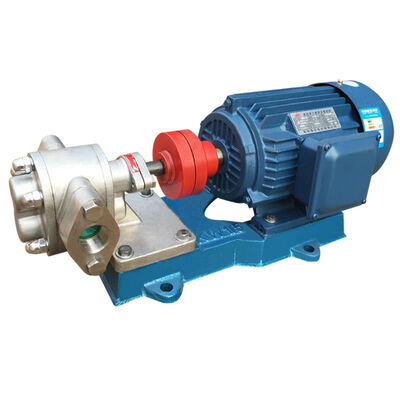 Prezzo buono Pompa a ingranaggi per olio con pressione 0,6-1,45 MPa progettata per una portata di 18,8-960 l/min in vari settori in linea