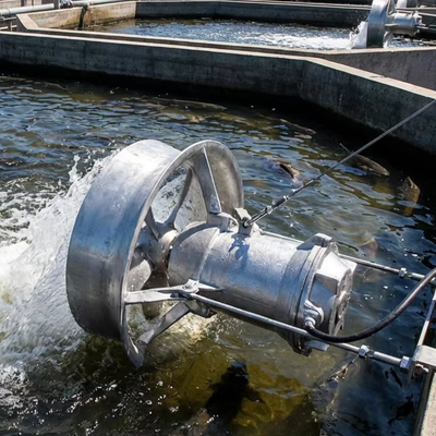 Prezzo buono Pompa per miscelatore sommergibile in acciaio inossidabile Potenza nominale da 0,37 a 22 kW Classe di isolamento F Opzione di ghisa per le prestazioni di miscelazione in linea