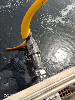 Elica a bassa velocità di flusso della pompa sommergibile del miscelatore della ventola QDT della banana con il riduttore